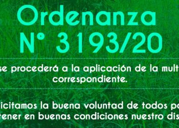 Solicitan mantener los terrenos baldíos libres de pastizales y basura