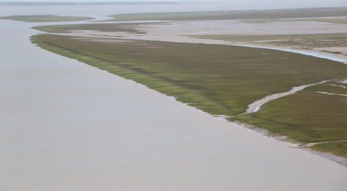 Bahía Blanca: ambientalistas calificaron como «muy grave» el derrame de petróleo