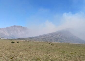 Bomberos de Tornquist, Saldungaray y Sierra trabajan en un incendio en la zona de Estomba