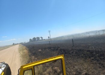 Bomberos trabajaron en un incendio en Estación Stegmann