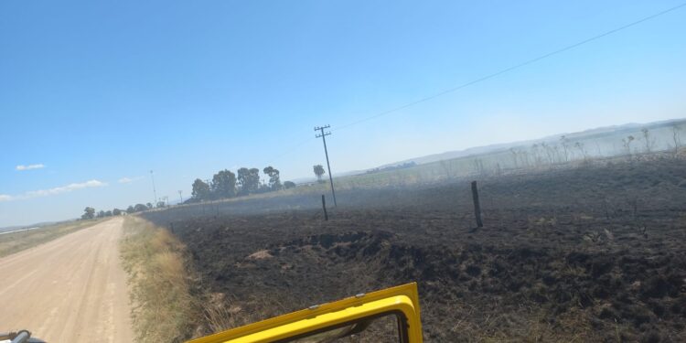Bomberos trabajaron en un incendio en Estación Stegmann
