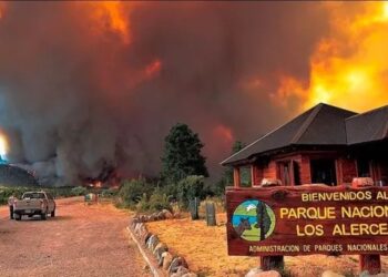Bomberos de la comarca viajan al sur a combatir el mega incendio