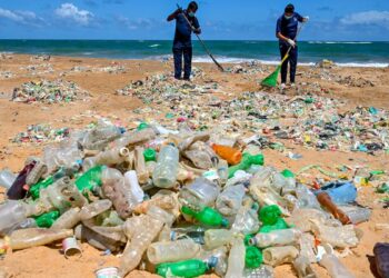 El 24% de los químicos presentes en los plásticos son de «alta preocupación» para la salud humana