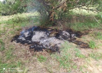 Alerta: Incendio forestal en el Barrio Golf