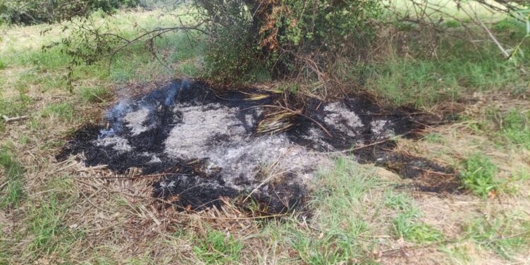 Alerta: Incendio forestal en el Barrio Golf