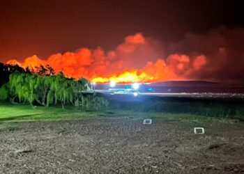 Un incendio forestal convocó a varias dotaciones de bomberos