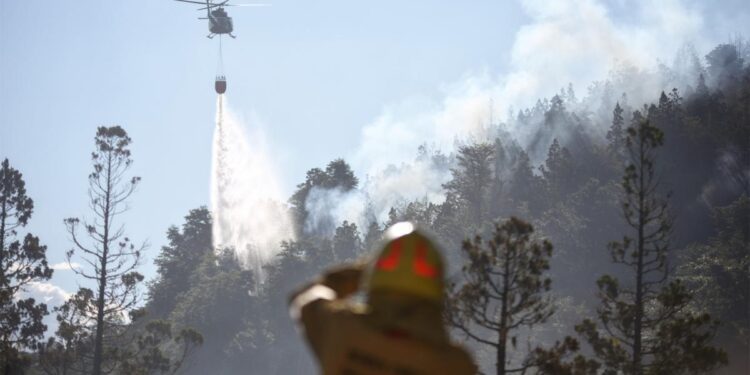 Alerta: ya son más de 2.000 las hectáreas quemadas en el Parque Nacional Los Alerces