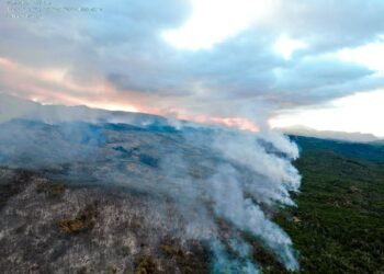 El incendio forestal en el Parque Nacional Los Alerces ya consumió casi 600 hectáreas y advierten que está “fuera de control”