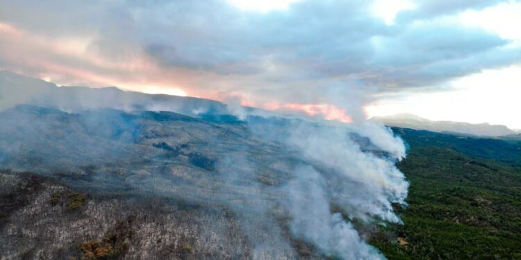 El incendio forestal en el Parque Nacional Los Alerces ya consumió casi 600 hectáreas y advierten que está “fuera de control”