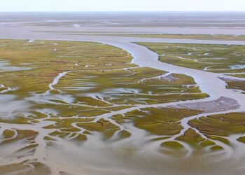 Derrame de petróleo en la ría: “el daño ya está hecho”