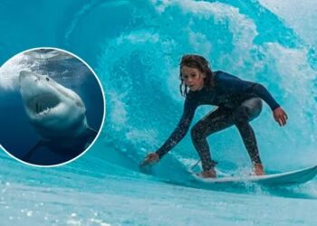 Conmoción en Australia: una promesa del surf de 15 años murió tras el ataque de un tiburón de más de cuatro metros
