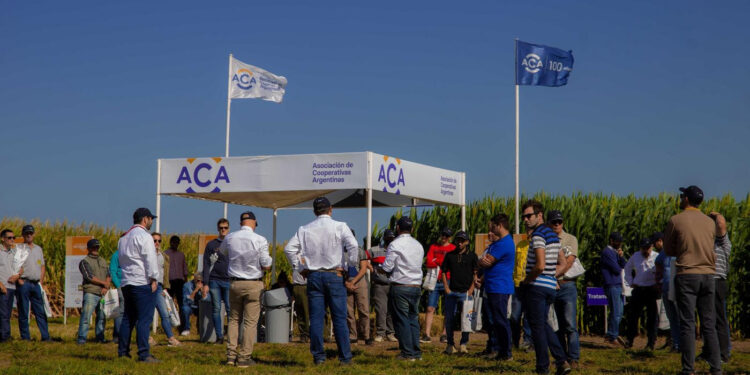 Celebran 20 años de innovación agrícola en la muestra A Campo Abierto
