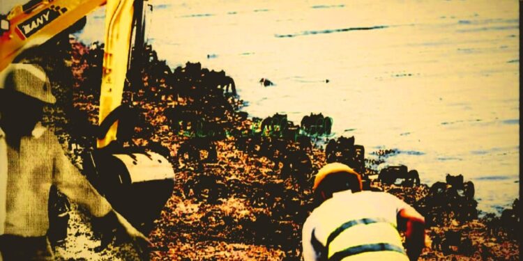 El ambientalismo funcional al sacrificio de las especies.