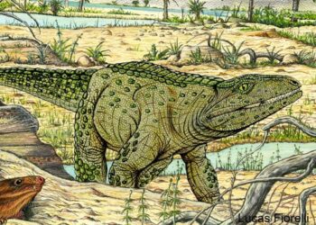 Encontraron en La Rioja restos fósiles de una especie precursora de los mamíferos