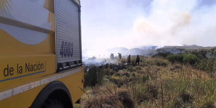 Gustavo De Vizia: “Este mismo incendio, una semana antes, hubiese sido un desastre”