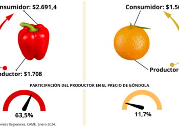 El año comenzó con una brecha de precios campo-góndola de 3,8 veces