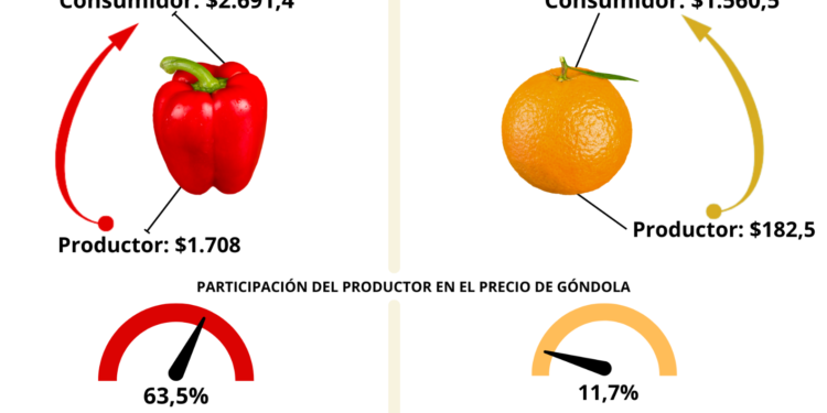 El año comenzó con una brecha de precios campo-góndola de 3,8 veces