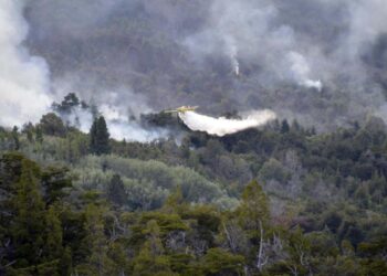 Los incendios en el Parque Los Alerces no bajan su intensidad y ya destruyeron 2.835 hectáreas