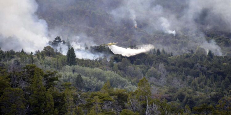 Los incendios en el Parque Los Alerces no bajan su intensidad y ya destruyeron 2.835 hectáreas