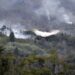 Los incendios en el Parque Los Alerces no bajan su intensidad y ya destruyeron 2.835 hectáreas