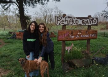 Sandra Romitti: “La ONG recibe cada vez más animales judicializados”