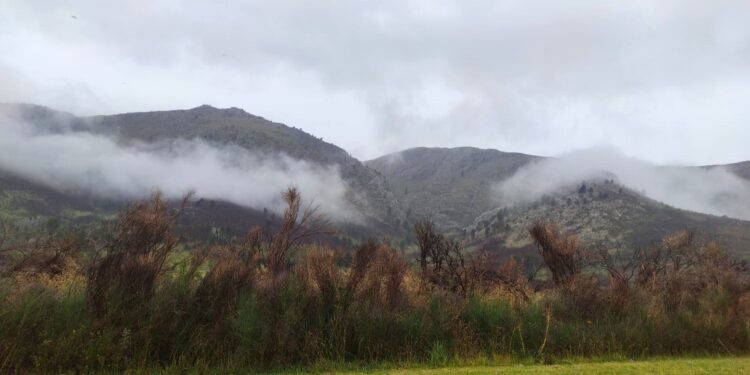Tormenta con viento, tierra, lluvia y descenso de temperatura.