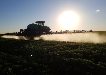 Argentina abandonó un estudio que la exponía como la más contaminada con pesticidas
