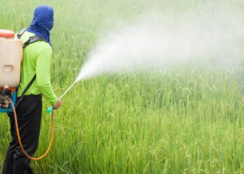 “Hay un Concejo de Profesionales de Ingenieros Agrónomos que tienen que tomar cartas en el asunto”