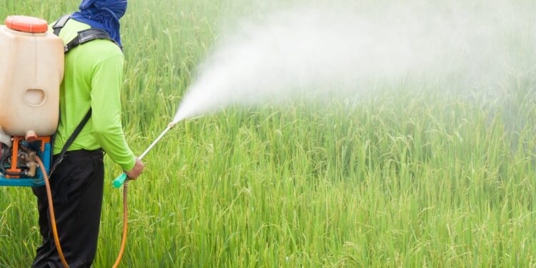 “Hay un Concejo de Profesionales de Ingenieros Agrónomos que tienen que tomar cartas en el asunto”