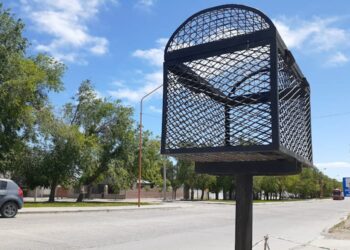 Sierra de la Ventana: Recuerdan la obligatoriedad de contar con basuriles domiciliarios