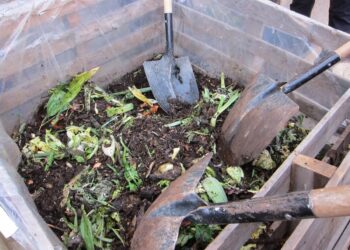 Eva Ormazabal: «El 60% de nuestros residuos son orgánicos y se pueden reciclar”.