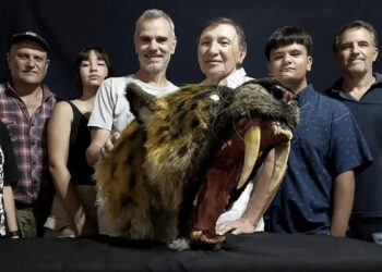 Descubrieron el primer fósil de un «tigre dientes de sable» en San Pedro