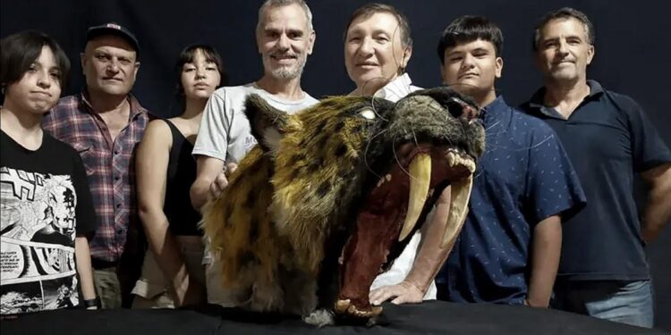 Descubrieron el primer fósil de un «tigre dientes de sable» en San Pedro