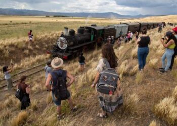 La Trochita fue la «estrella indiscutida» de la Fiesta Nacional del Tren a Vapor