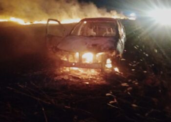 Se incendió un vehículo y el fuego se extendió a un sector rural.