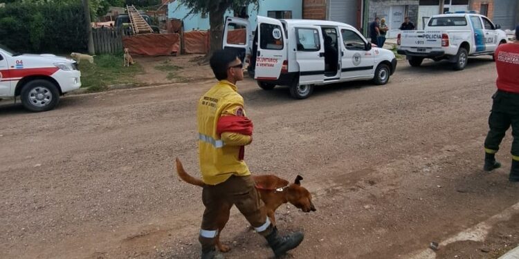 Bomberos de Sierra de la Ventana intervienen con perros en la búsqueda del joven desaparecido en Tornquist
