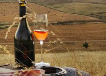 Carlo María Bértora: “En noviembre estaremos plantando más viñedos”