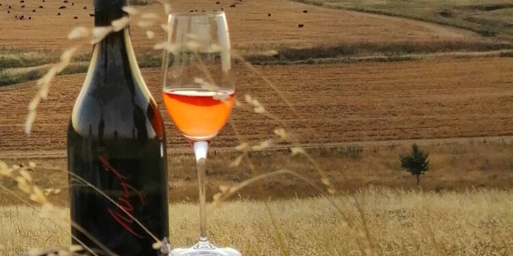 Carlo María Bértora: “En noviembre estaremos plantando más viñedos”