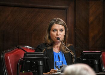 Preocupación por la baja asignación de recursos al Servicio Alimentario Escolar en la Provincia