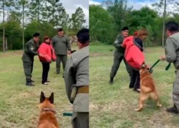 «Uhiii!…» La prueba con perros de Patricia Bullrich que casi termina mal