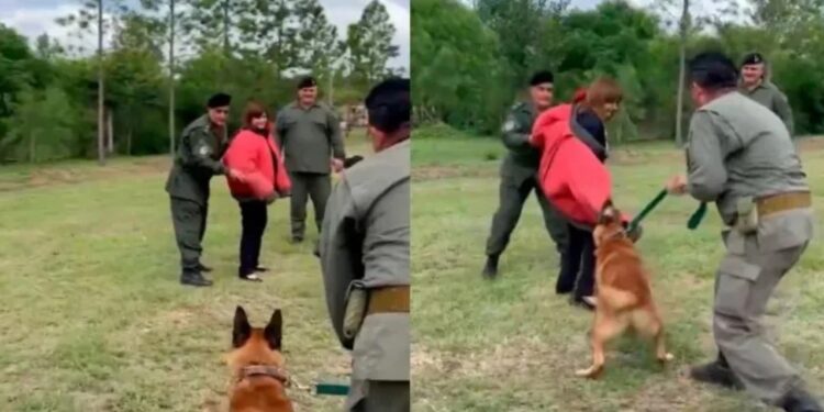 «Uhiii!…» La prueba con perros de Patricia Bullrich que casi termina mal