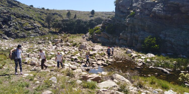 Temporada 2024: viajaron 29,2 millones de turistas y gastaron casi 5 billones de pesos