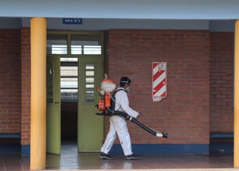 Desde el Conicet afirman que en la Argentina aumentaron un 2500% los casos de dengue