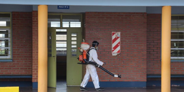 Desde el Conicet afirman que en la Argentina aumentaron un 2500% los casos de dengue