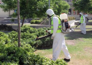 Doble epidemia de dengue: dos variantes coexisten y aumentan los casos