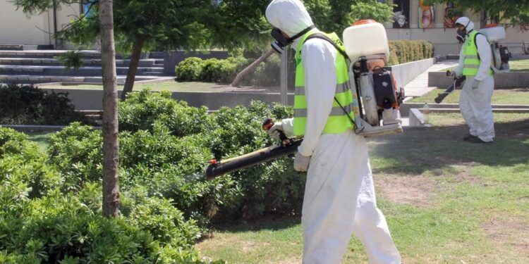Doble epidemia de dengue: dos variantes coexisten y aumentan los casos