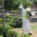 Doble epidemia de dengue: dos variantes coexisten y aumentan los casos