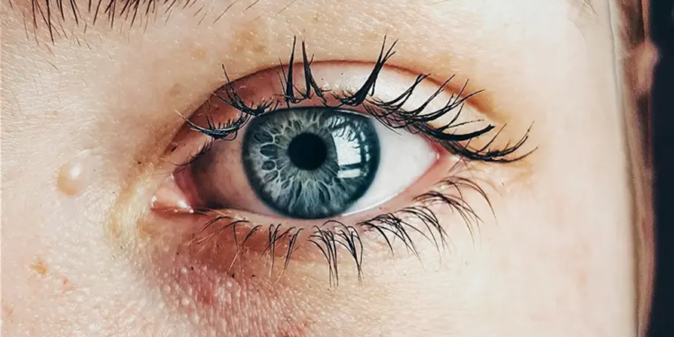 Imprimir piel viva sobre heridas: la solución tecnológica para decirle adiós a las cicatrices