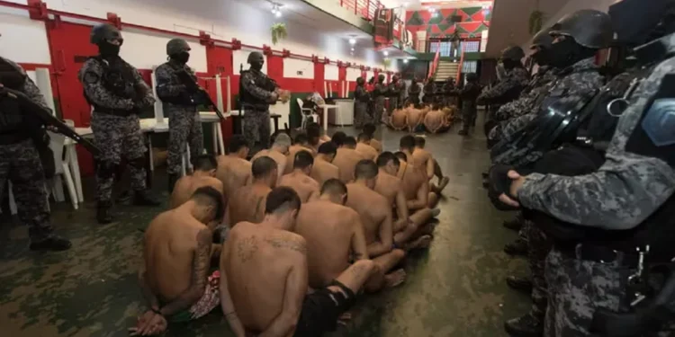 El mensaje desafiante de Santa Fe a los narcos de Rosario: “Cada vez la van a pasar peor”