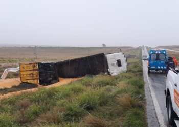 Volcó un camión en la ruta 33
